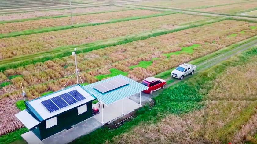 A solar installation in the middle of the rice fields