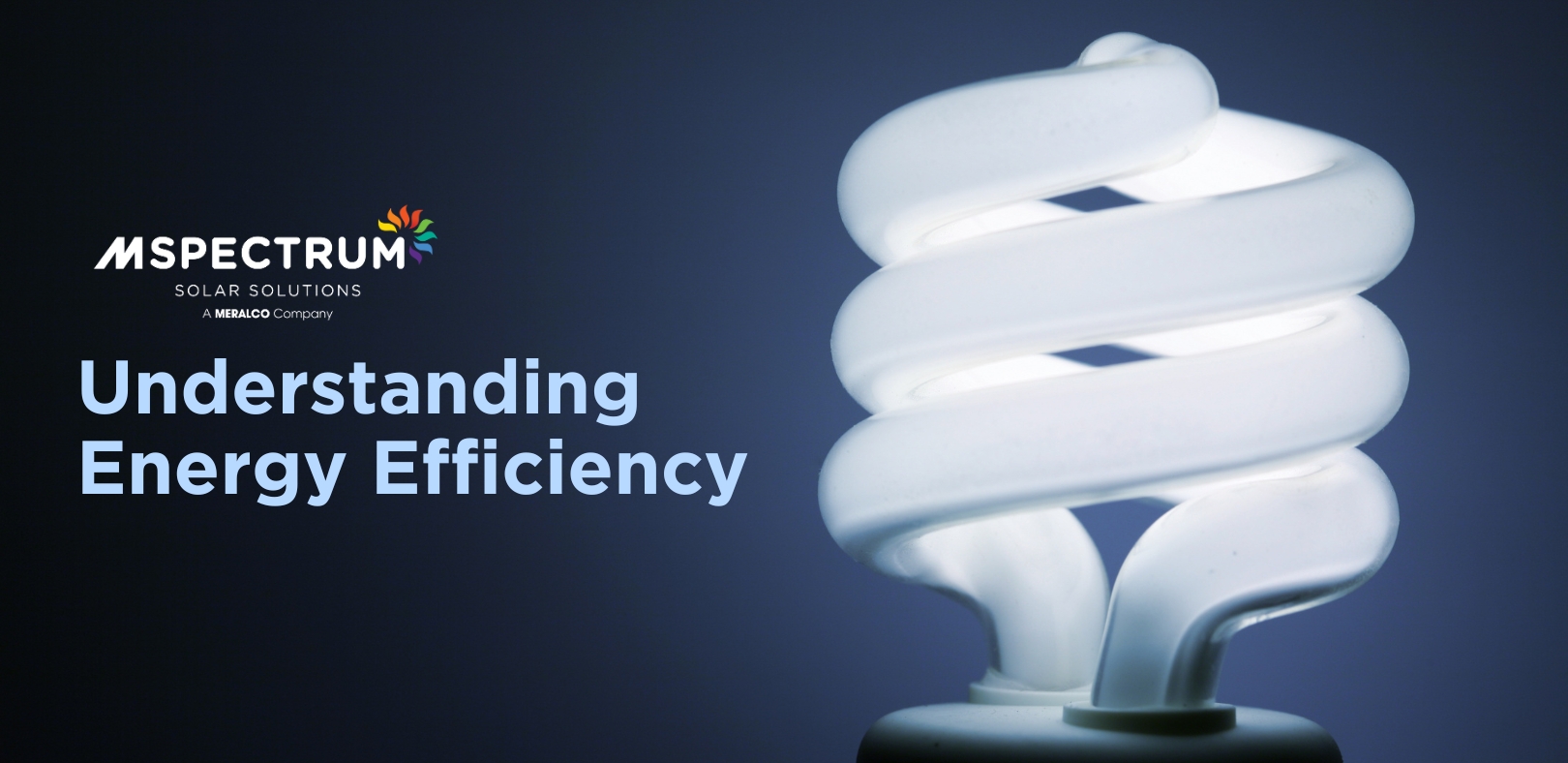 Understanding Energy Efficiency